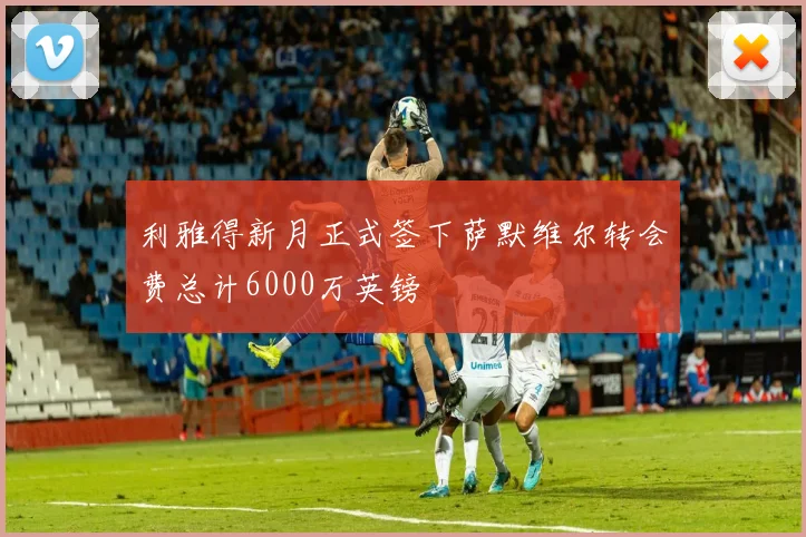 利雅得新月正式签下萨默维尔转会费总计6000万英镑